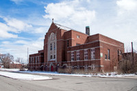 Woods Cathedral 2013