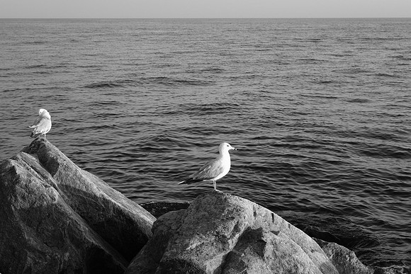Pere Marquette Beach 2023