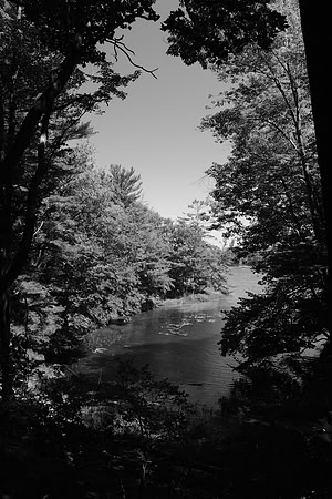 Ludington State Park- 023