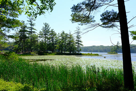 Ludington State Park 2023
