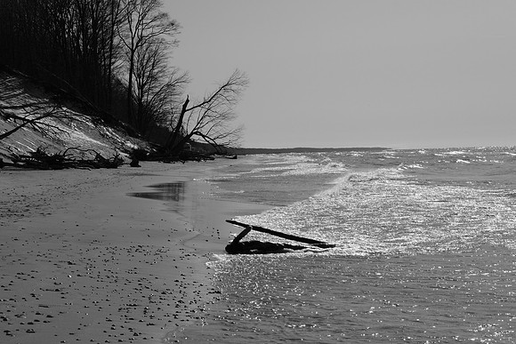 South Haven 2024