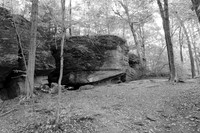 Nelson Kennedy Ledge State Park 2024
