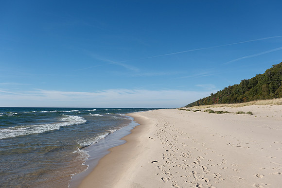 Various Michigan Fall 2024