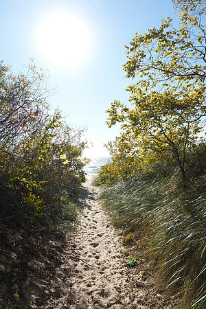 Various Michigan Fall 2024