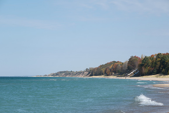 Various Michigan Fall 2024