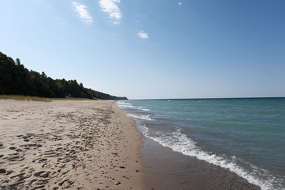 Various Michigan Fall 2024