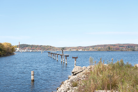 Various Michigan Fall 2024