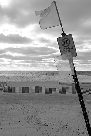 Pere Marquette Beach - Winter 2025